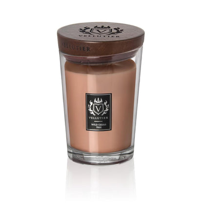 Candela Wild Cedar Tree di VELLUTIER