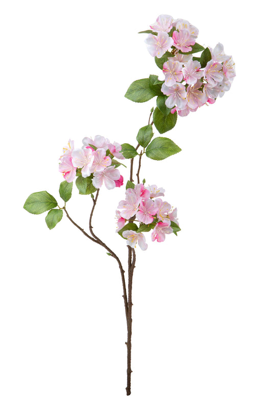 Ramo di fiori di melo 74cm di BIANCHI DINO