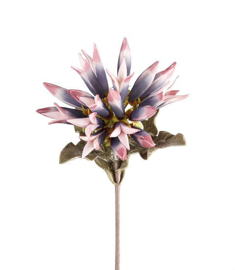 L'OCA NERA Dalia Viola 70 cm