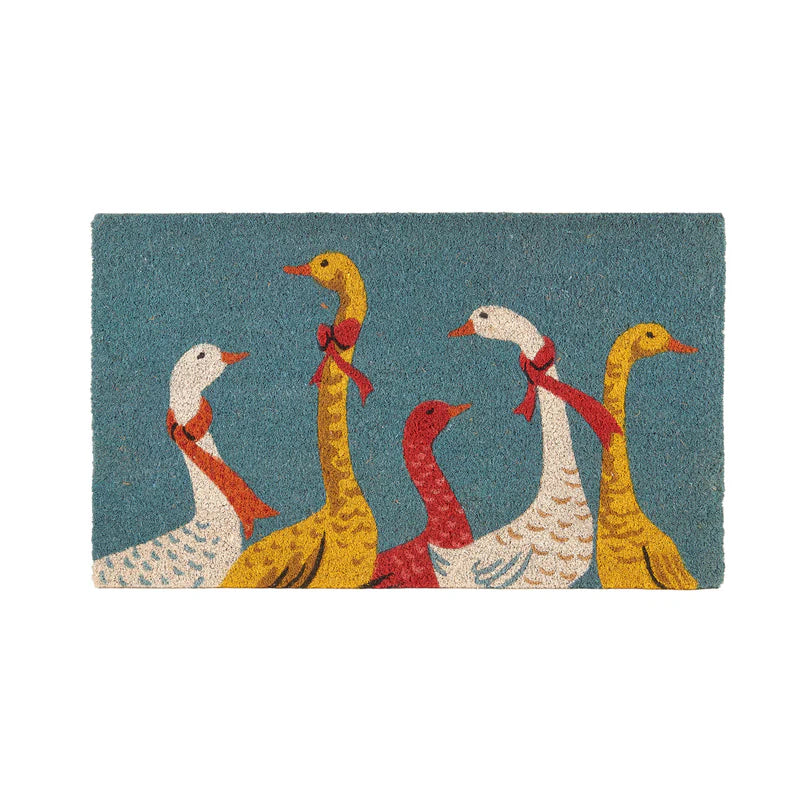 ZERBINO OCHE L'OCA NERA